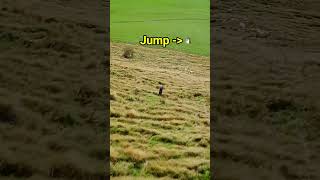 Massive jump at the end...