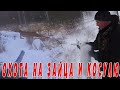 Охота на зайца косулю. Закрытие сезона