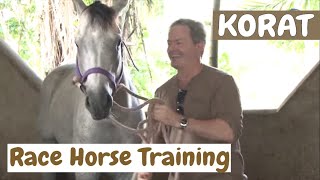 Training thoroughbred Racing Horses in Korat | Thailand