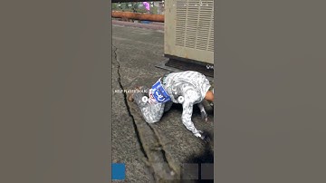 Pvp rust console #goodadmin #rustgood #gaming