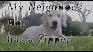 My Neighbor's Dog has a Zipper | Scary Story / Creepypasta - YouTube