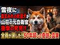 吹雪の夜、血まみれの秋田犬が元女性自衛官の山荘へ…森の奥で発見した恐るべき真実と50年越しの奇跡に全員が涙した