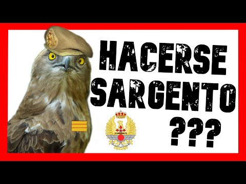 Video: ¿Puede unirse al ejército como suboficial?