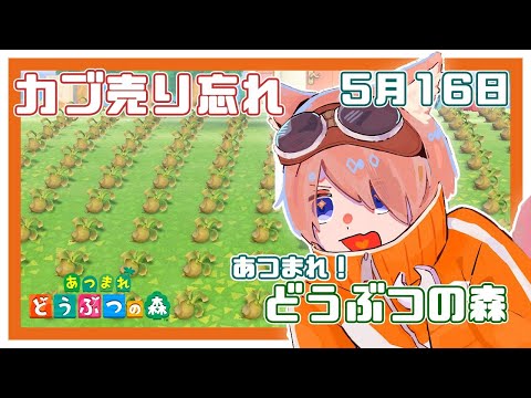 【あつまれ！どうぶつの森】カブを売り忘れたのだ#10【夕暮朱音/Vtuber個人勢】