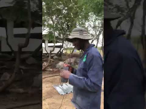 Royal Painters Transform Our Rural Homestead In Gutu Gospelmusic Ruralzimbabwe Buildingzimbabwe