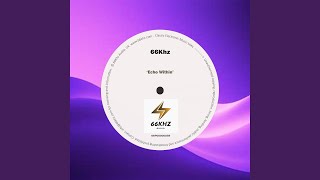 Information Echo Within (Radio Edit) Guide
