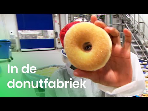 Video: Waar werden donuts gemaakt?