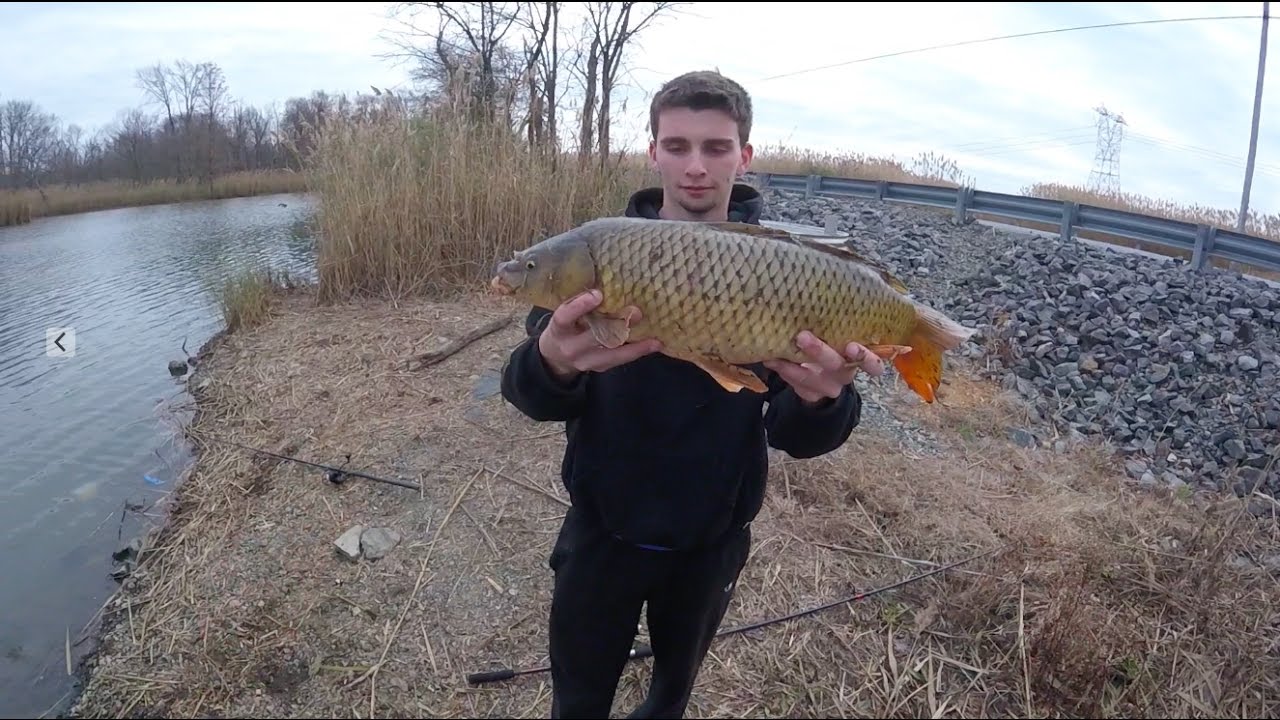 CARP FISHING NJ! YouTube