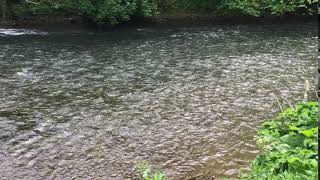IMG 5217