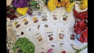 Say Goodbye to Pharmacy With 10 Medicinal Plant Seed Kit- Medicinal Garden Kit #medicinalplants