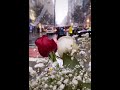 انتي مشيتي ملحم زين اغاني عربيه حالات واتس اب