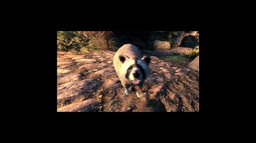 I think I now have rabies | Skyrim VR