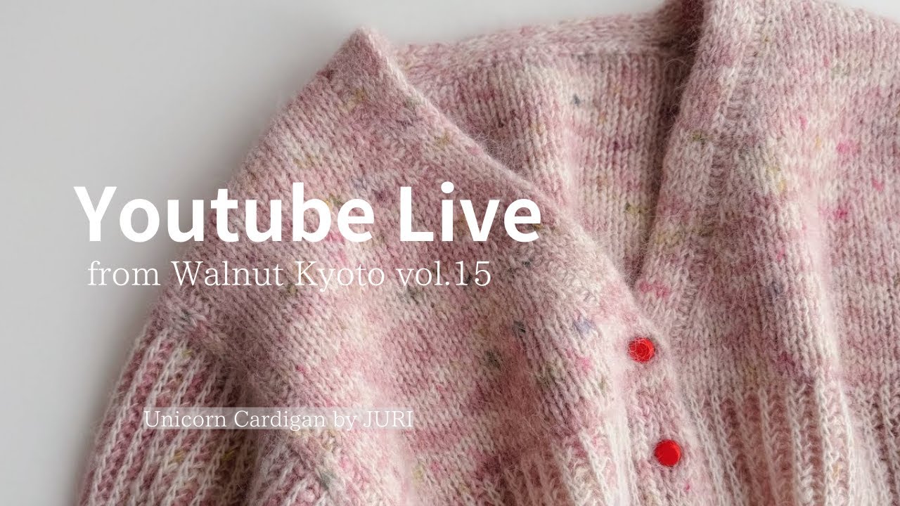 amirisu アミリス purl soho Line Weight 3かせ