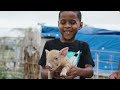 Berkshire Bahamas Farms