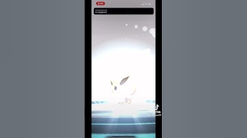 Evolving hundo eevee