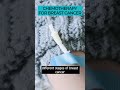 Understanding The Benefits And Risks Of Chemotherapy For Breast Cancer Patients рџЋ пёЏрџ Љ Understanding The Benefits And Risks Of Chemotherapy For Breast Cancer Patients рџЋ пёЏрџ Љ