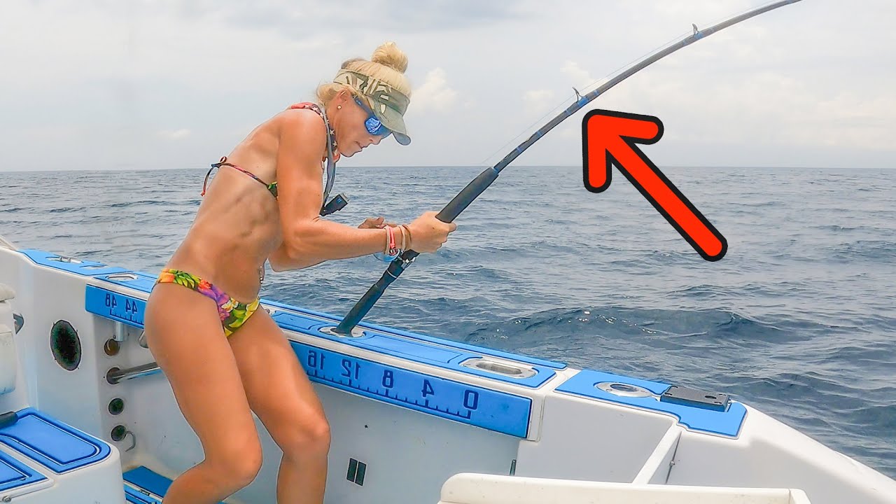 Uploads from Darcizzle Offshore