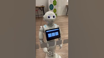 Meet Mr.Pepper | Humanoid Robot in Christchurch International Airport | New Zealand 🇳🇿 | 4K