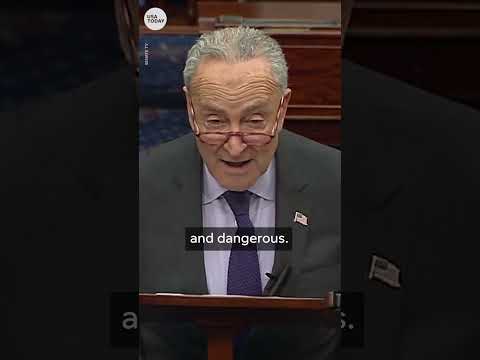 Chuck Schumer slams Donald Trump for 'disgusting' Ye, Fuentes dinner | USA TODAY #Shorts