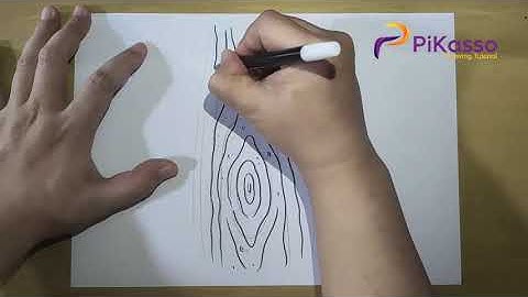 How to Draw Tree Bark Easy step by step