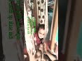 कौने दिशा में ले SकेS चSल रेबटोहिया ..##short videos##