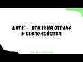 1477. Ширк — причина страха и беспокойства || Ринат Абу Мухаммад