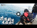 花蓮超狂釣場-東堤,釣魚凹到手把節,新手釣遊必看攻略【釣魚】FT.四方會.劉阿修.花蓮揪釣