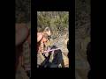 A tiny venomous snake goes free #snake #mild #youtube #cute #video #reels #shorts #weekend #fyp