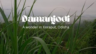 Odisha Damanjodi Tour The Jewel Of Koraput Offbeat Destination Travel Nalco Township