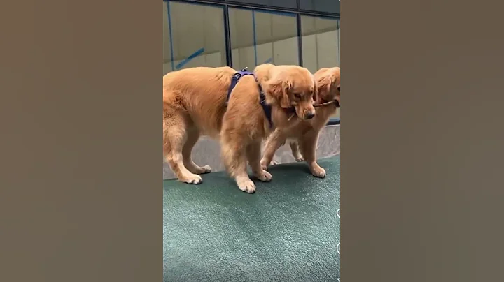 Best friends