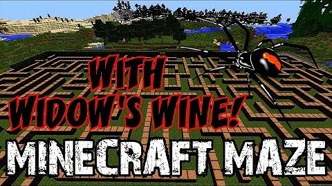 MINECRAFT ZOMBIE MAZE: Featuring WIDOW