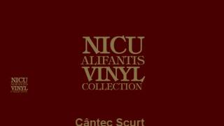 Video thumbnail of "Nicu Alifantis - Cantec scurt"