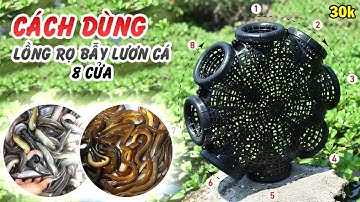 30k/1c Cách Dùng Lồng Rọ 8 Cửa - Bẫy Lươn Chạch, Tôm Cua Cá - GIẢM GIÁ 50% 100c đầu tiên 0987782098
