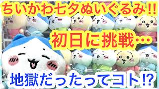ちいかわ　ぬいぐるみ　まとめ売り　七夕　泣いちゃった　【新品、タグ付き】 ちいかわ】ちいかわ七夕ぬいぐるみ・・・初日にハチワレに挑戦