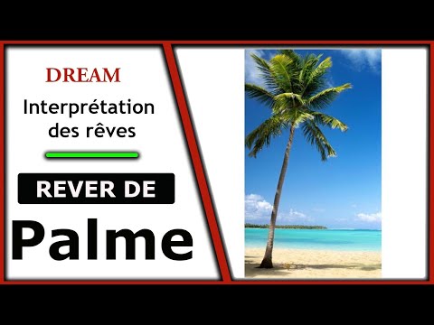 Interprétation et signification du rêve Palme