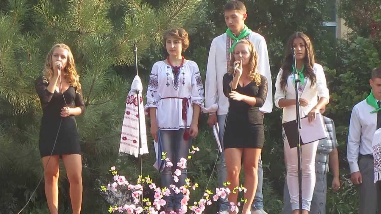 васильевский колледж