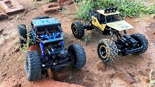 RC Rock Crawler vs Rock Crawler | Remote Cars | RC Car
