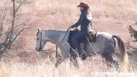 More Cat Less Mouse - trail riding! - ValleyViewRanch.net
