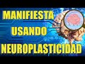 NEUROPLASTICIDAD: EL SECRETO DE LA MANIFESTACIÓN. La Ley de Atracción con Neurociencia