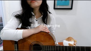 真昼の月 / saucy dog