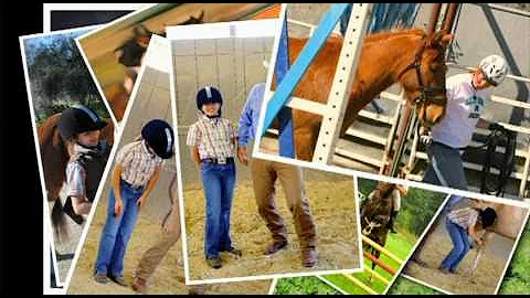 Be Like Monty! Know what your horse is thinking