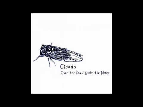 Cicada - ... till the day we meet