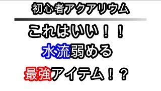 【初心者アクアリウム】これはいい！！水流弱める最強アイテム！？