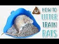 HOW TO LITTER TRAIN RATS!