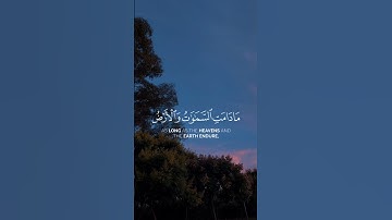 القرآن الكريم بصوت ماهر المعيقلي #القران_الكريم #اكسبلور #ماهر_المعيقلي