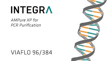 Magnetic bead purification throughput boost with the VIAFLO 96/384 electronic pipette