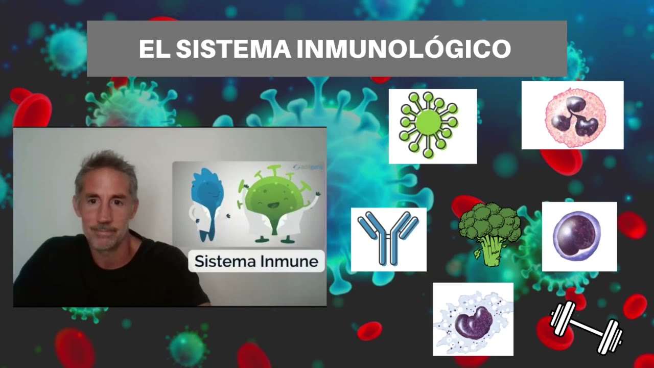 El sistema inmunológico. Problemas y cómo cuidarlo.