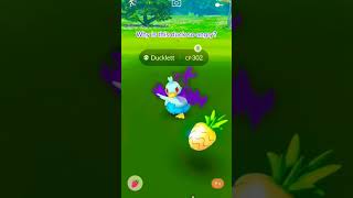 Angry Duckling 😡🦆