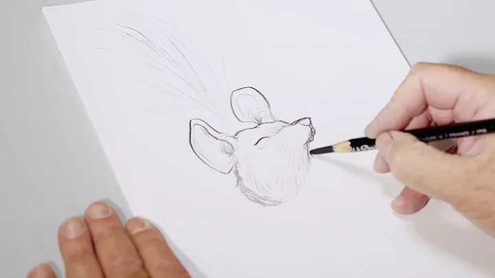 Chris Riddell sketches our University of Sussex fe...