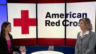Mid-Michigan Matters: Babysitting courses: Learn lifesaving skills